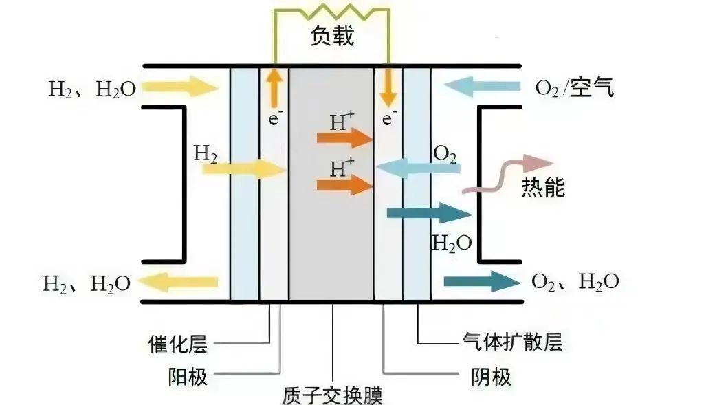 难逃“膜”咒，质子交换膜要如何走出一条国产替代之路？